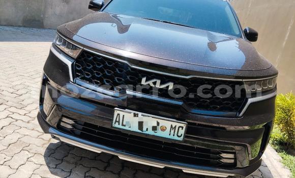 Buy New Kia Sorento Black Car in Maputo in Maputo Buy New Kia Sorento Black Car in Maputo in Maputo