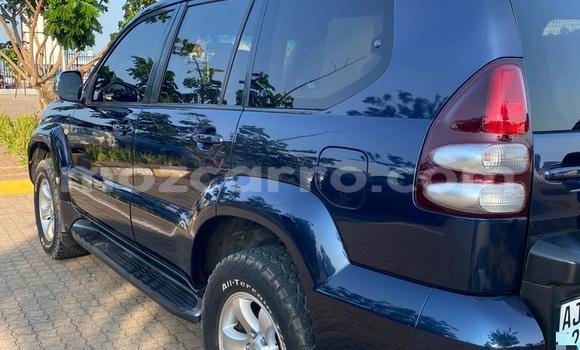 Buy New Toyota Land Cruiser Prado Blue Car in Maputo in Maputo Buy New Toyota Land Cruiser Prado Blue Car in Maputo in Maputo