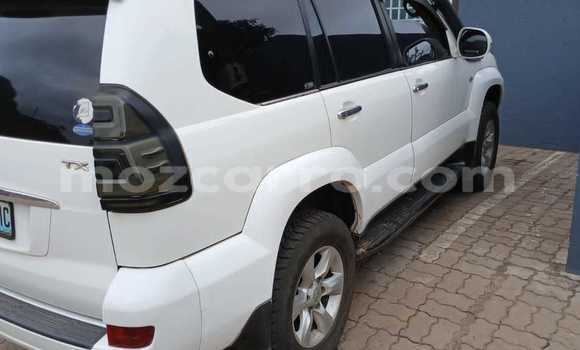 Tenga Tsaru Toyota Land Cruiser Prado Chena Mota in Maputo in Maputo Tenga Tsaru Toyota Land Cruiser Prado Chena Mota in Maputo in Maputo