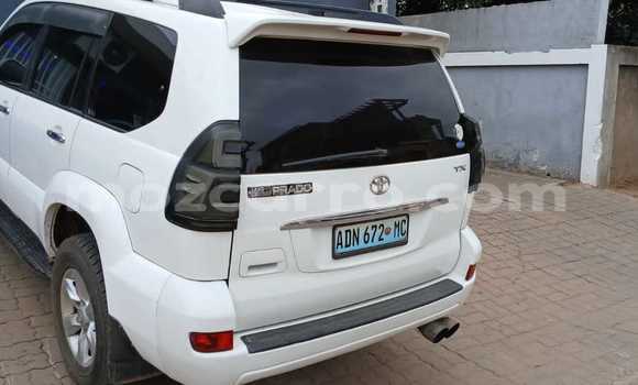 Tenga Tsaru Toyota Land Cruiser Prado Chena Mota in Maputo in Maputo Tenga Tsaru Toyota Land Cruiser Prado Chena Mota in Maputo in Maputo