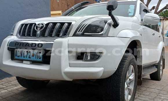 Tenga Tsaru Toyota Land Cruiser Prado Chena Mota in Maputo in Maputo Tenga Tsaru Toyota Land Cruiser Prado Chena Mota in Maputo in Maputo