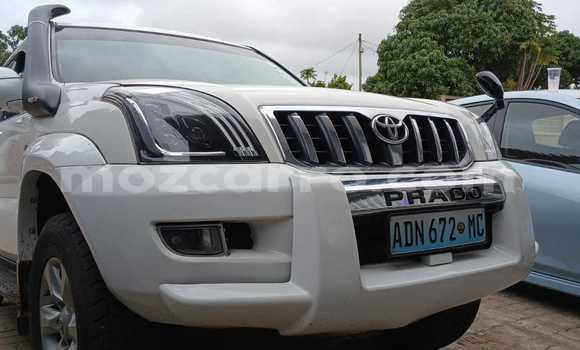 Tenga Tsaru Toyota Land Cruiser Prado Chena Mota in Maputo in Maputo Tenga Tsaru Toyota Land Cruiser Prado Chena Mota in Maputo in Maputo