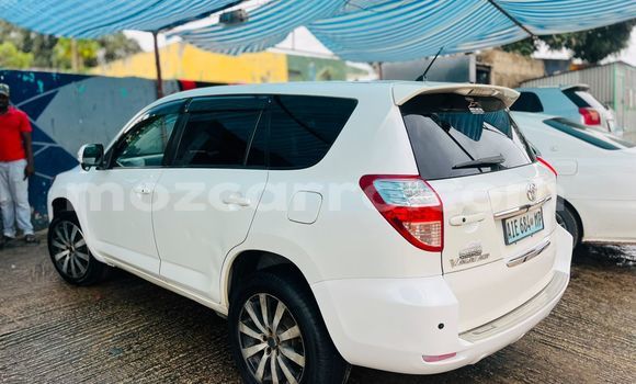 Tenga Tsaru Toyota Vanguard Chena Mota in Maputo in Maputo Tenga Tsaru Toyota Vanguard Chena Mota in Maputo in Maputo