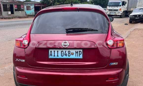 Buy Used Nissan Juke Red Car in Maputo in Maputo Buy Used Nissan Juke Red Car in Maputo in Maputo