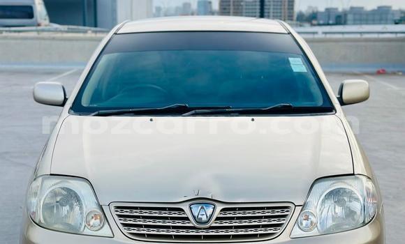 Nunua Ilio tumika Toyota Runx Brown Gari ndani ya Maputo nchini Maputo Nunua Ilio tumika Toyota Runx Brown Gari ndani ya Maputo nchini Maputo