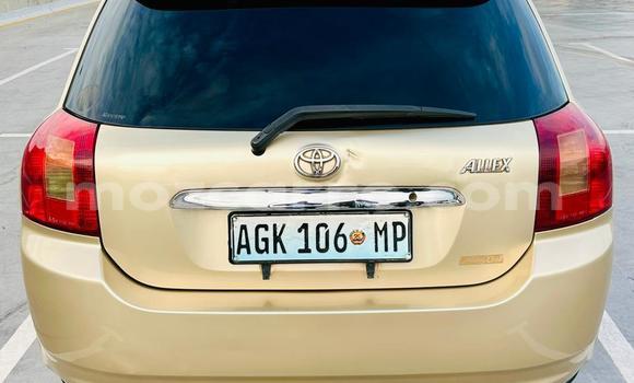 Nunua Ilio tumika Toyota Runx Brown Gari ndani ya Maputo nchini Maputo Nunua Ilio tumika Toyota Runx Brown Gari ndani ya Maputo nchini Maputo