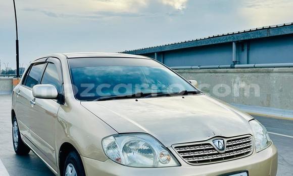 Nunua Ilio tumika Toyota Runx Brown Gari ndani ya Maputo nchini Maputo Nunua Ilio tumika Toyota Runx Brown Gari ndani ya Maputo nchini Maputo