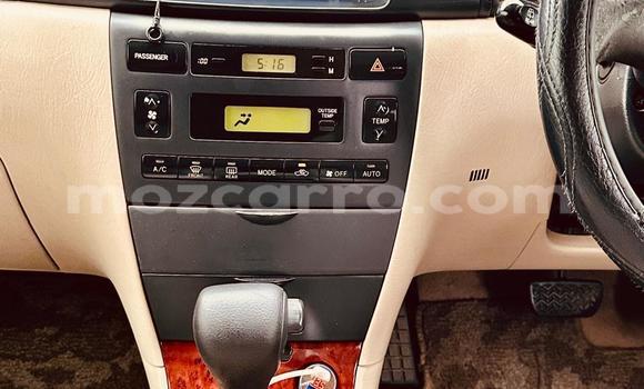 Nunua Ilio tumika Toyota Runx Brown Gari ndani ya Maputo nchini Maputo Nunua Ilio tumika Toyota Runx Brown Gari ndani ya Maputo nchini Maputo