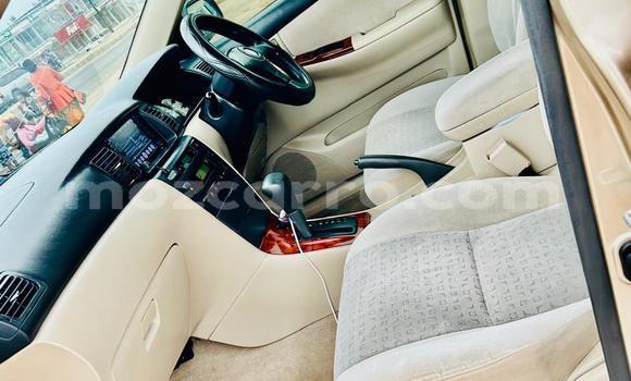 Nunua Ilio tumika Toyota Runx Brown Gari ndani ya Maputo nchini Maputo Nunua Ilio tumika Toyota Runx Brown Gari ndani ya Maputo nchini Maputo