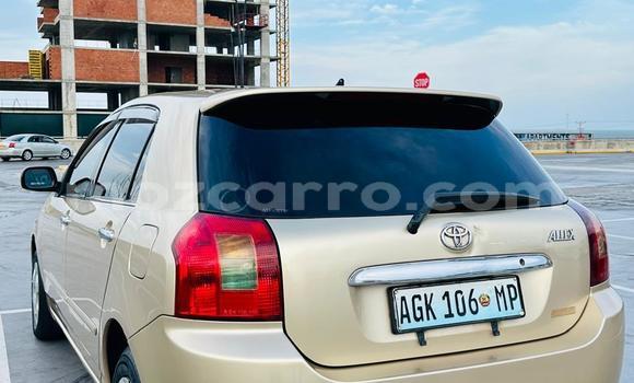 Nunua Ilio tumika Toyota Runx Brown Gari ndani ya Maputo nchini Maputo Nunua Ilio tumika Toyota Runx Brown Gari ndani ya Maputo nchini Maputo