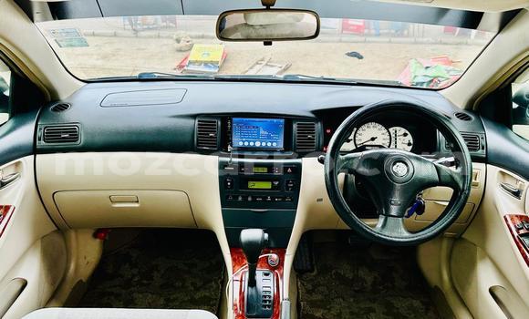 Nunua Ilio tumika Toyota Runx Brown Gari ndani ya Maputo nchini Maputo Nunua Ilio tumika Toyota Runx Brown Gari ndani ya Maputo nchini Maputo