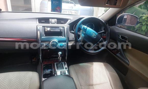 Tenga Tsaru Toyota Mark X Chena Mota in Maputo in Maputo Tenga Tsaru Toyota Mark X Chena Mota in Maputo in Maputo