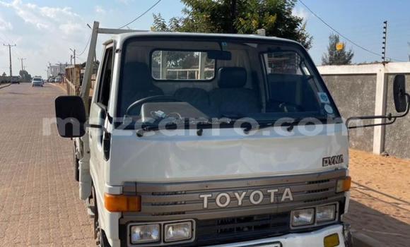 Tenga Tsaru Toyota Dyna Chena Mota in Maputo in Maputo Tenga Tsaru Toyota Dyna Chena Mota in Maputo in Maputo
