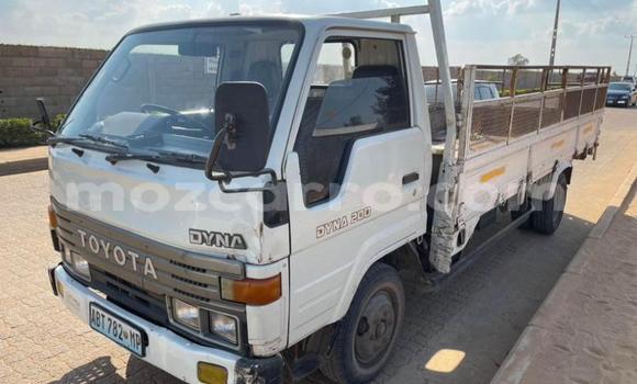 Tenga Tsaru Toyota Dyna Chena Mota in Maputo in Maputo Tenga Tsaru Toyota Dyna Chena Mota in Maputo in Maputo