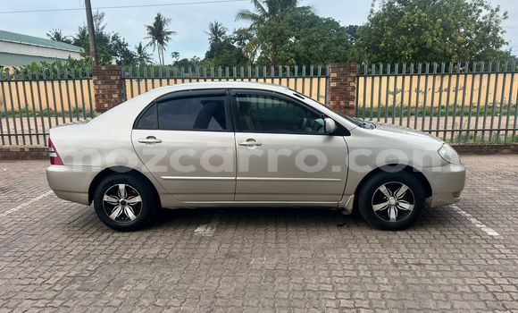 Tenga Tsaru Toyota Corolla Zvimwe Mota in Maputo in Maputo Tenga Tsaru Toyota Corolla Zvimwe Mota in Maputo in Maputo