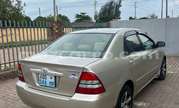 Tenga Tsaru Toyota Corolla Zvimwe Mota in Maputo in Maputo Tenga Tsaru Toyota Corolla Zvimwe Mota in Maputo in Maputo