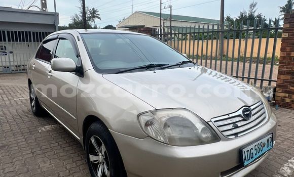 Tenga Tsaru Toyota Corolla Zvimwe Mota in Maputo in Maputo Tenga Tsaru Toyota Corolla Zvimwe Mota in Maputo in Maputo