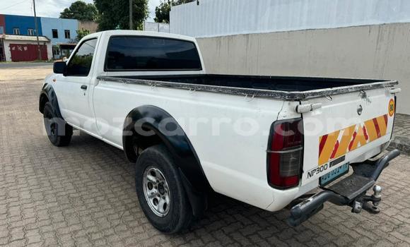 Comprar Usado Nissan Hardbody Branco Carro em Maputo em Maputo Comprar Usado Nissan Hardbody Branco Carro em Maputo em Maputo
