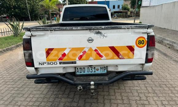 Comprar Usado Nissan Hardbody Branco Carro em Maputo em Maputo Comprar Usado Nissan Hardbody Branco Carro em Maputo em Maputo
