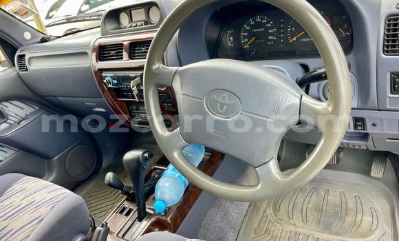 Comprar Usado Toyota Land Cruiser Prado De outros Carro em Maputo em Maputo Comprar Usado Toyota Land Cruiser Prado De outros Carro em Maputo em Maputo
