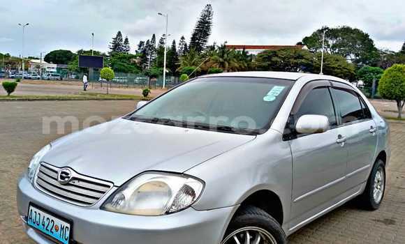 Buy Used Toyota Corolla Silver Car in Maputo in Maputo Buy Used Toyota Corolla Silver Car in Maputo in Maputo