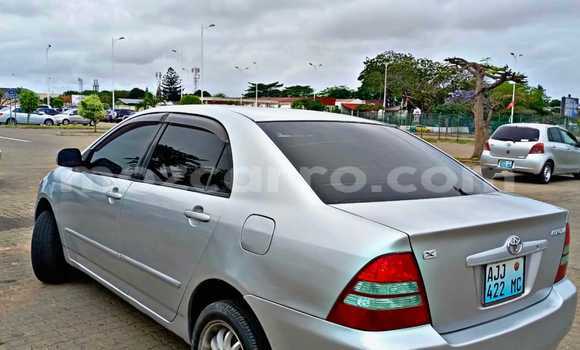 Buy Used Toyota Corolla Silver Car in Maputo in Maputo Buy Used Toyota Corolla Silver Car in Maputo in Maputo