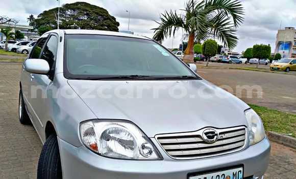 Buy Used Toyota Corolla Silver Car in Maputo in Maputo Buy Used Toyota Corolla Silver Car in Maputo in Maputo