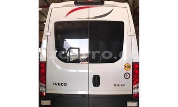 Buy Used Iveco Daily White Truck in Gilé in Zambezia Buy Used Iveco Daily White Truck in Gilé in Zambezia