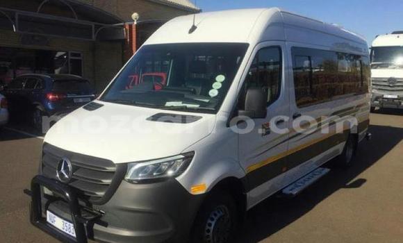 Comprar Usado Mercedes‒Benz Sprinter Branco Caminhão em Gilé em Zambezia Comprar Usado Mercedes‒Benz Sprinter Branco Caminhão em Gilé em Zambezia