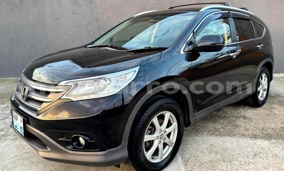 Comprar Novo Honda CR-V Preto Carro em Maputo em Maputo Comprar Novo Honda CR-V Preto Carro em Maputo em Maputo
