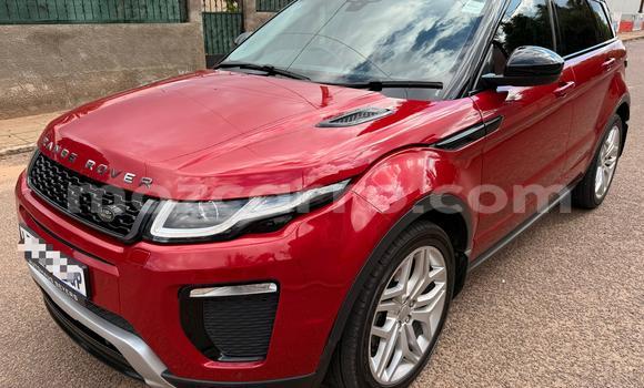 Comprar Usado Range Rover Evoque Vermelho Carro em Maputo em Maputo Comprar Usado Range Rover Evoque Vermelho Carro em Maputo em Maputo
