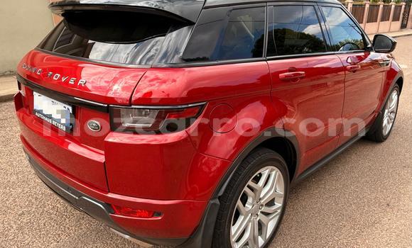 Comprar Usado Range Rover Evoque Vermelho Carro em Maputo em Maputo Comprar Usado Range Rover Evoque Vermelho Carro em Maputo em Maputo