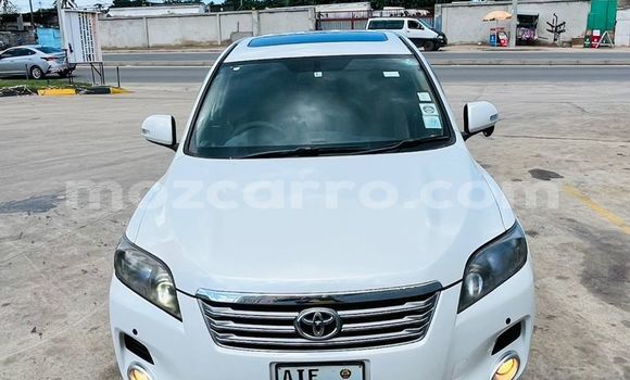Buy Used Toyota Vanguard White Car in Maputo in Maputo
