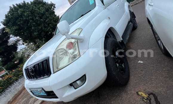 Tenga Tsaru Toyota Land Cruiser Prado Chena Mota in Maputo in Maputo Tenga Tsaru Toyota Land Cruiser Prado Chena Mota in Maputo in Maputo