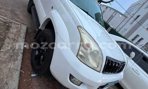 Tenga Tsaru Toyota Land Cruiser Prado Chena Mota in Maputo in Maputo Tenga Tsaru Toyota Land Cruiser Prado Chena Mota in Maputo in Maputo