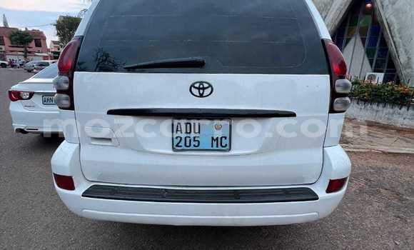 Tenga Tsaru Toyota Land Cruiser Prado Chena Mota in Maputo in Maputo Tenga Tsaru Toyota Land Cruiser Prado Chena Mota in Maputo in Maputo