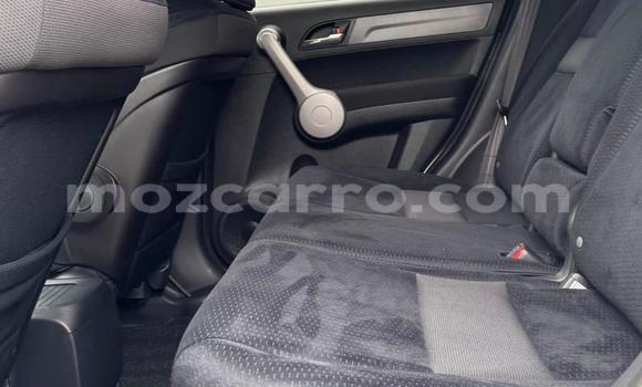 Buy New Honda CR-V White Car in Maputo in Maputo Buy New Honda CR-V White Car in Maputo in Maputo
