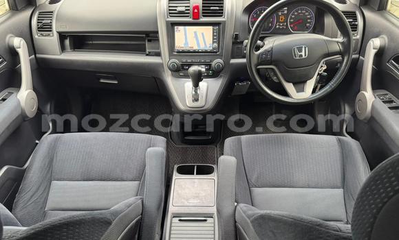 Buy New Honda CR-V White Car in Maputo in Maputo Buy New Honda CR-V White Car in Maputo in Maputo