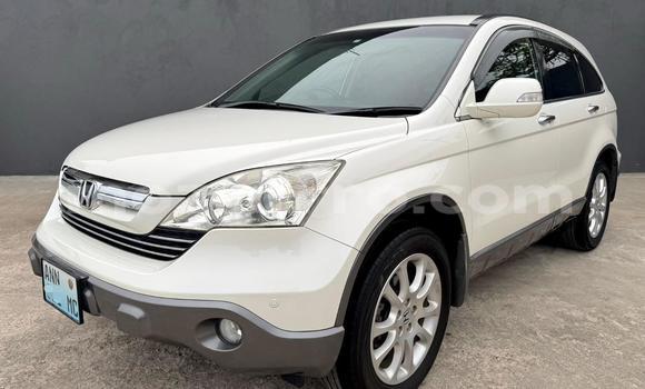 Buy New Honda CR-V White Car in Maputo in Maputo Buy New Honda CR-V White Car in Maputo in Maputo
