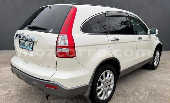 Buy New Honda CR-V White Car in Maputo in Maputo Buy New Honda CR-V White Car in Maputo in Maputo