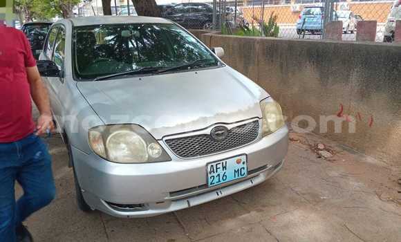 Nunua Ilio tumika Toyota Runx Nyingine Gari ndani ya Maputo nchini Maputo Nunua Ilio tumika Toyota Runx Nyingine Gari ndani ya Maputo nchini Maputo