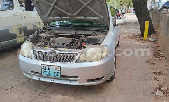 Nunua Ilio tumika Toyota Runx Nyingine Gari ndani ya Maputo nchini Maputo Nunua Ilio tumika Toyota Runx Nyingine Gari ndani ya Maputo nchini Maputo