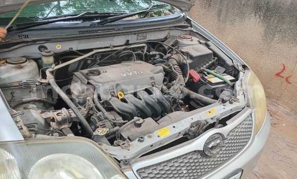 Nunua Ilio tumika Toyota Runx Nyingine Gari ndani ya Maputo nchini Maputo Nunua Ilio tumika Toyota Runx Nyingine Gari ndani ya Maputo nchini Maputo