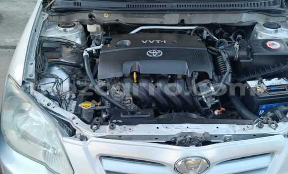 Nunua Ilio tumika Toyota Runx Nyingine Gari ndani ya Maputo nchini Maputo Nunua Ilio tumika Toyota Runx Nyingine Gari ndani ya Maputo nchini Maputo