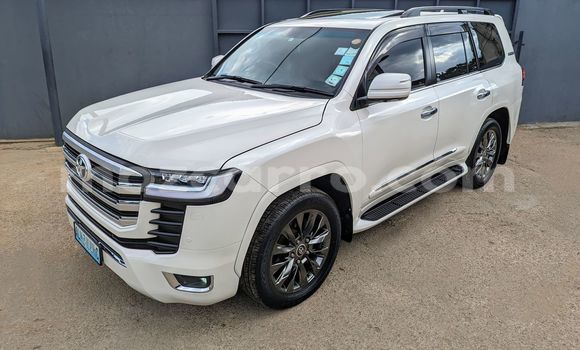 Comprar Novo Toyota Land Cruiser Branco Carro em Maputo em Maputo Comprar Novo Toyota Land Cruiser Branco Carro em Maputo em Maputo