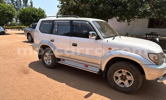 Buy Used Toyota Land Cruiser Prado White Car in Maputo in Maputo Buy Used Toyota Land Cruiser Prado White Car in Maputo in Maputo
