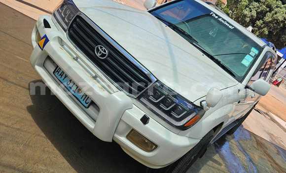 Tenga Tsaru Toyota Land Cruiser Chena Mota in Maputo in Maputo Tenga Tsaru Toyota Land Cruiser Chena Mota in Maputo in Maputo
