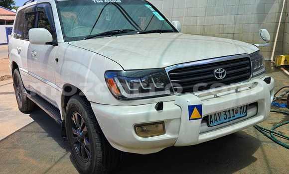 Tenga Tsaru Toyota Land Cruiser Chena Mota in Maputo in Maputo Tenga Tsaru Toyota Land Cruiser Chena Mota in Maputo in Maputo