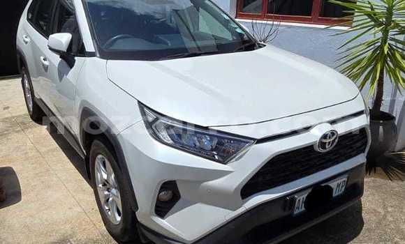 Comprar Novo Toyota RAV4 Branco Carro em Maputo em Maputo