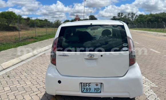Tenga Tsaru Toyota Passo Chena Mota in Maputo in Maputo Tenga Tsaru Toyota Passo Chena Mota in Maputo in Maputo